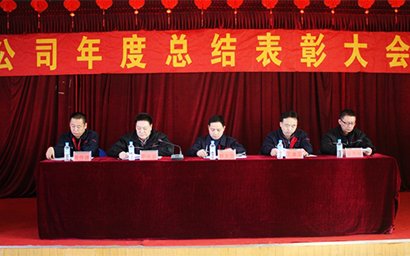 公司召開2015年度總結表彰大會